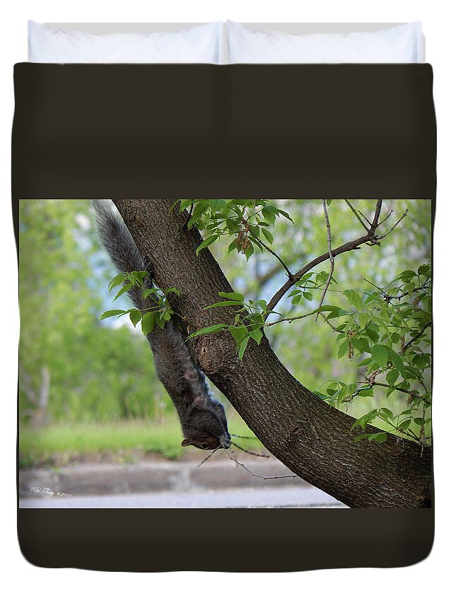 Spring Duvet Cover featuring the photograph Haning Around by Wild Thing