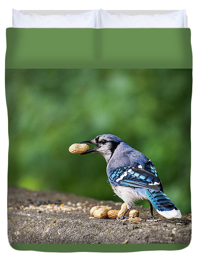 Blue Jay Duvet Cover featuring the photograph Happy Blue Jay with Peanut by Ilene Hoffman