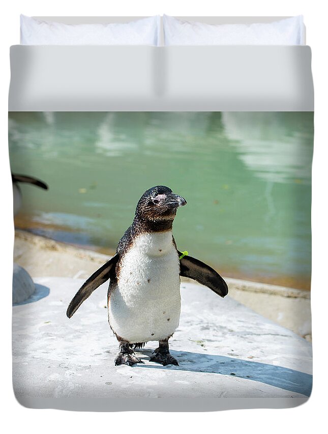 Penquin Duvet Cover featuring the photograph Happy Dance by Stacy Abbott