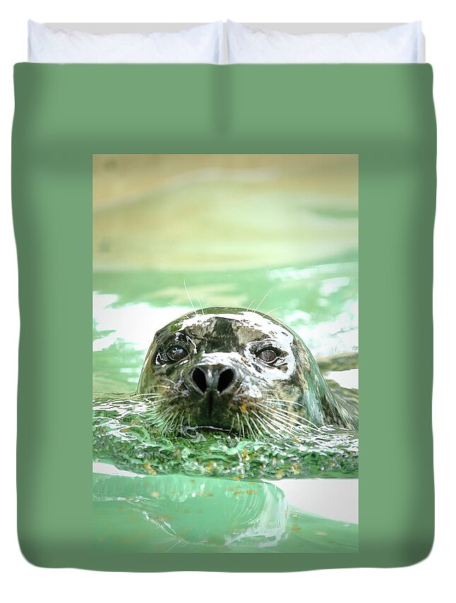 Harbor Seal Duvet Cover featuring the photograph Harbor Seal by Lens Art Photography By Larry Trager