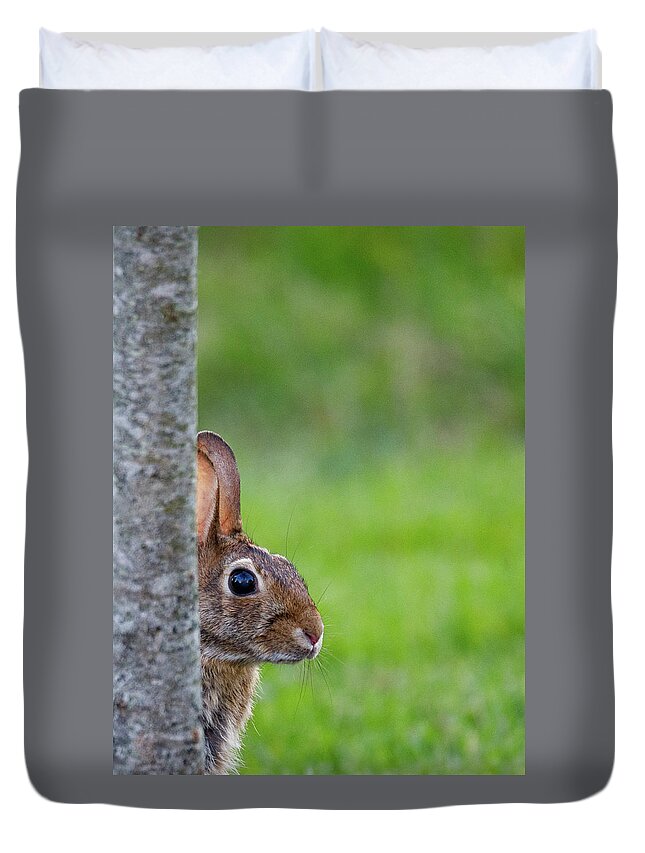 Bunny Duvet Cover featuring the photograph Hare by David Beechum