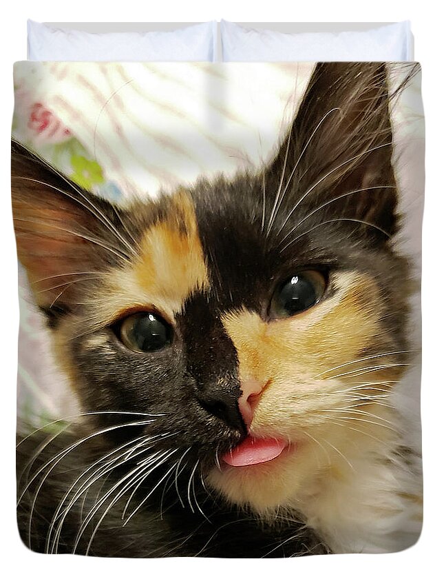 Kitten; Cute Kitten; Cat; Cute Cat; Tortoiseshell; Calico; Cute; Animal; Pet; Funny; Tongue; Silly; Happy; Square Duvet Cover featuring the photograph Harlequin by Tina Uihlein