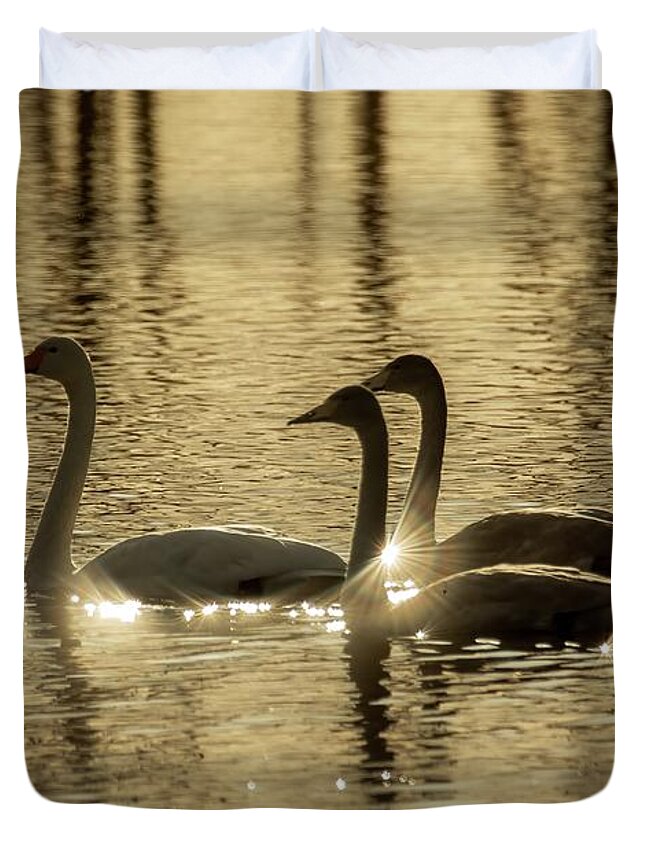 Harmony Duvet Cover featuring the photograph Harmony by Rose-Marie Karlsen
