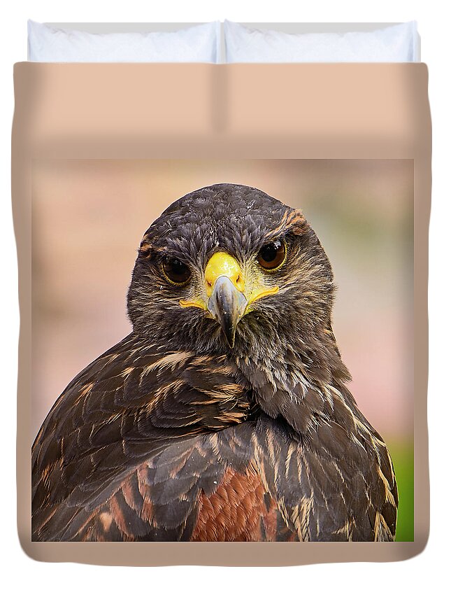 Animal Duvet Cover featuring the photograph Harris's Hawk 204908s by Mark Myhaver