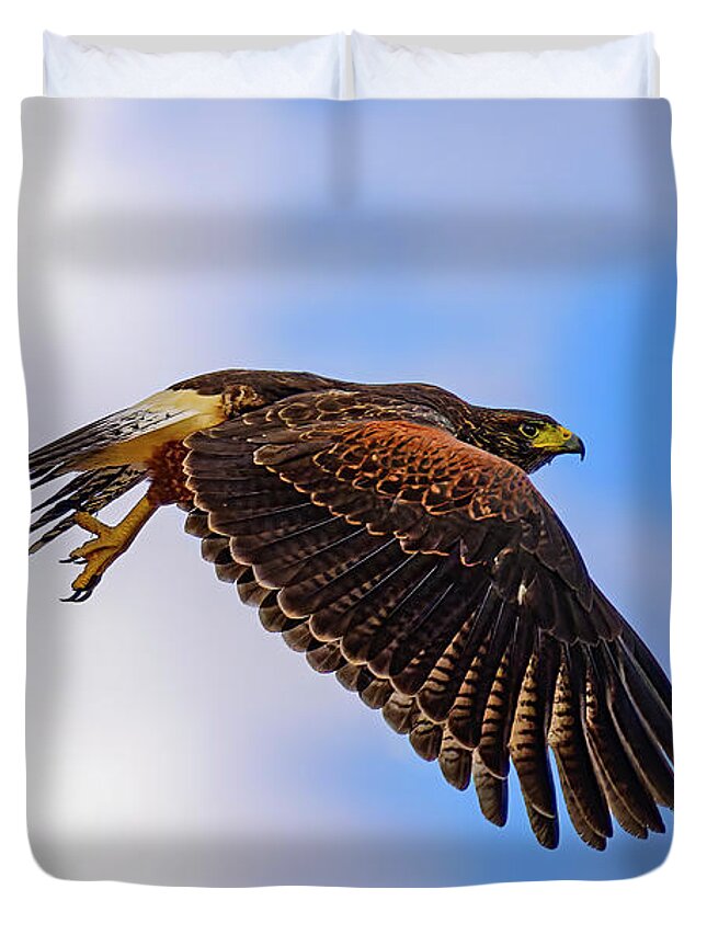 Mark Myhaver Photography Duvet Cover featuring the photograph Harris's Hawk 24783 by Mark Myhaver