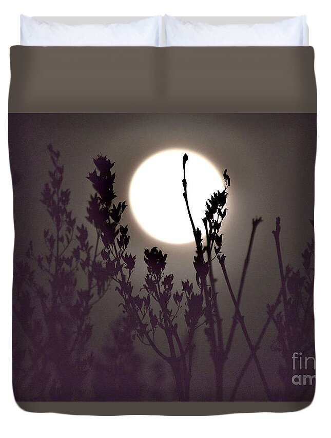 Full Moon Duvet Cover featuring the photograph Harvest Moon Risin' by Debra Banks