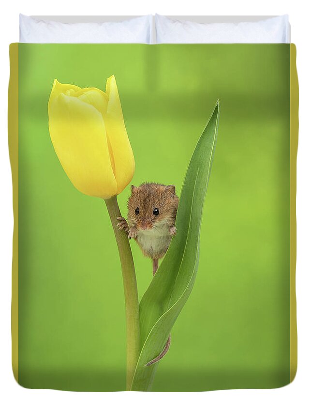 Harvest Duvet Cover featuring the photograph Harvest Mouse- 1 by Miles Herbert