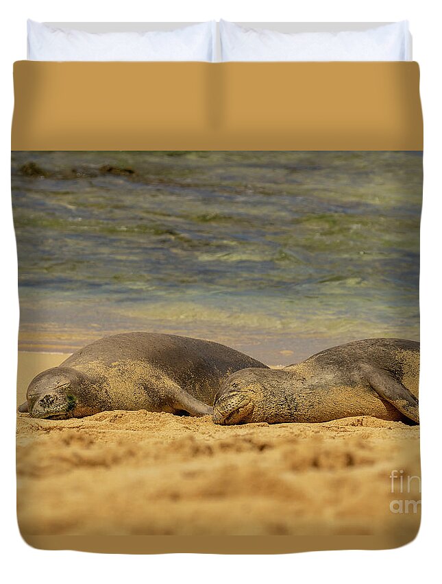 Animal Duvet Cover featuring the photograph Hawaiian Monk Seals Napping on the Beach by Nancy Gleason