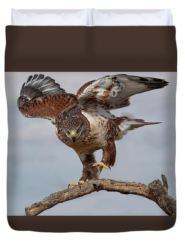 Hawk Duvet Cover featuring the photograph Hawk Eyed by Mary Hone