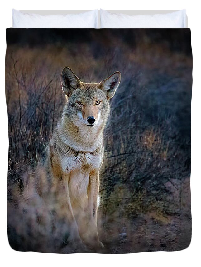 American Southwest Duvet Cover featuring the photograph He Saw Me First by James Capo