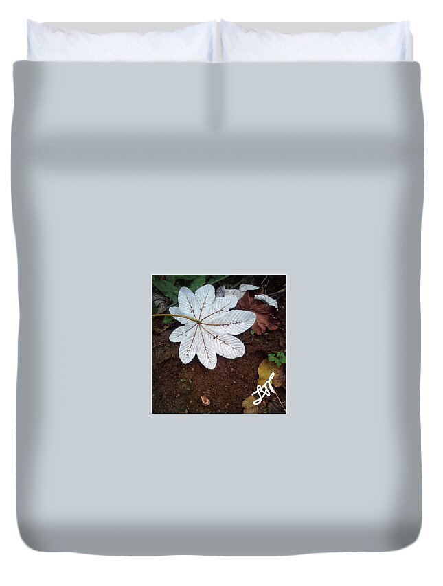 Heal Duvet Cover featuring the photograph Heal Me Herbal by Esoteric Gardens KN