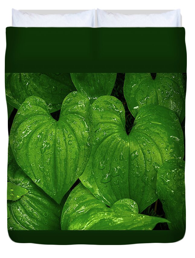 Leaves Duvet Cover featuring the photograph Hearts in the rain forest by Robert Miller
