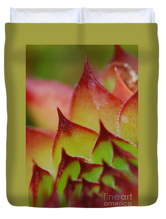 Hens And Chicks Duvet Cover featuring the photograph Hens And Chicks #10 by Stephanie Gambini
