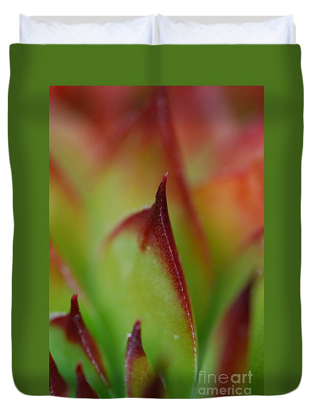 Hens And Chicks Duvet Cover featuring the photograph Hens And Chicks #9 by Stephanie Gambini