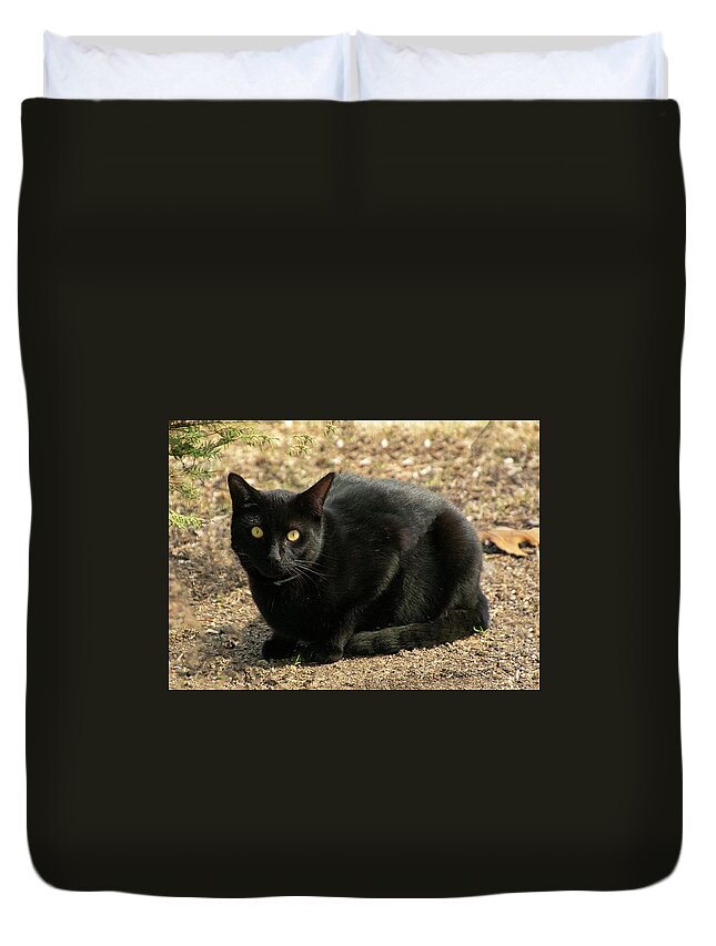 Cat Duvet Cover featuring the photograph Here Kitty by Cathy Kovarik