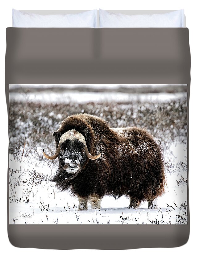 Usa Duvet Cover featuring the photograph Here's Looking at You by Cheryl Strahl