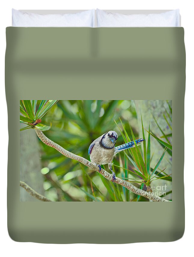 Birds Duvet Cover featuring the photograph Here's Looking at You by Judy Kay
