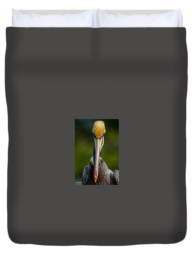 Pelicans Duvet Cover featuring the photograph Here's Looking at you by Judy Rogero