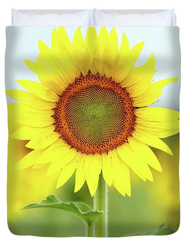 Sunflower Duvet Cover featuring the photograph Here's Looking At You Kid by Lens Art Photography By Larry Trager