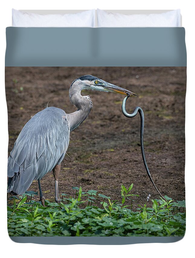 Afternoon Duvet Cover featuring the photograph Heron and Garter Snake by Robert Potts