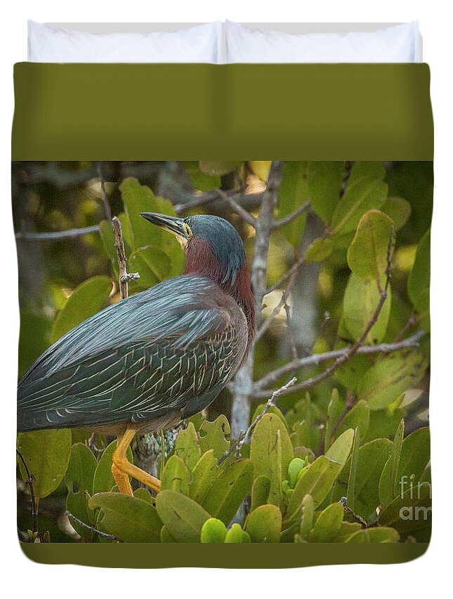 Heron Duvet Cover featuring the photograph Heron in Marsh by Tom Claud
