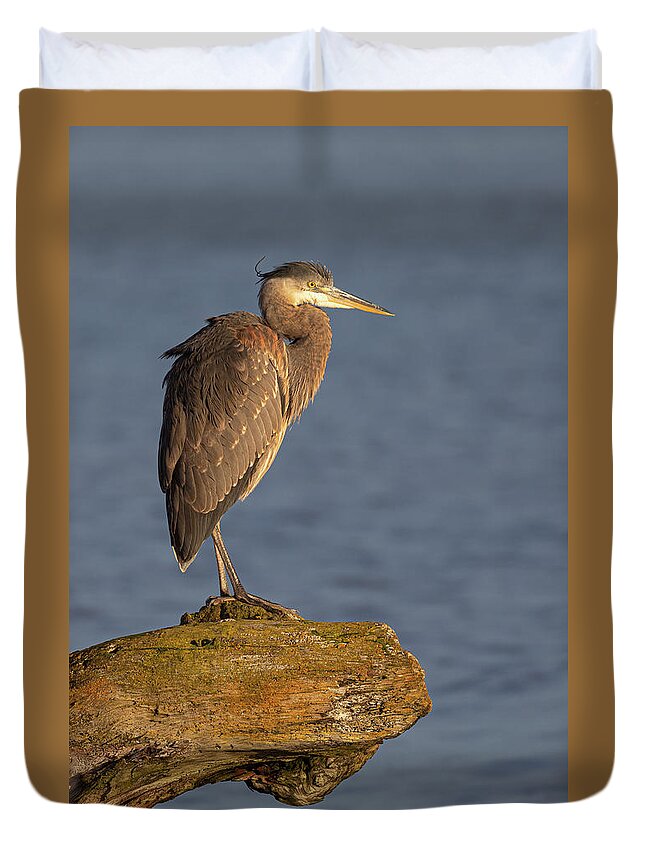 Blue Heron Duvet Cover featuring the photograph Heron Sunset Vertical by Michael Rauwolf