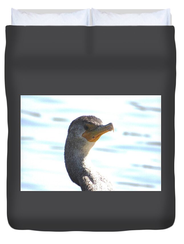 #loon #young #floatingdock #gulfcoast #earlymorning #earlyspring #shrimp #breakfast Duvet Cover featuring the photograph Hey There I'm A Handsome Loon by Belinda Lee