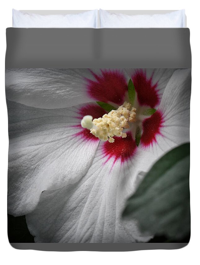 Flower Duvet Cover featuring the photograph Hibiscus Althea by DArcy Evans