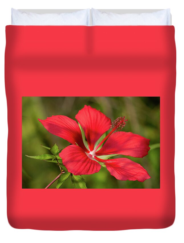 Floral Duvet Cover featuring the photograph Hibiscus by Cindy Robinson