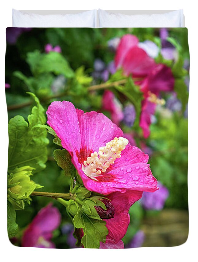 Connecticut Duvet Cover featuring the photograph Hibiscus Syriacus II by Marianne Campolongo