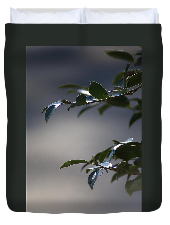  Duvet Cover featuring the photograph Highlights by Heather E Harman