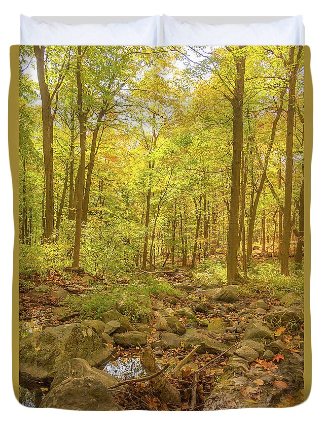 Road Duvet Cover featuring the photograph Hiking Through the Enchanted Forest by Auden Johnson