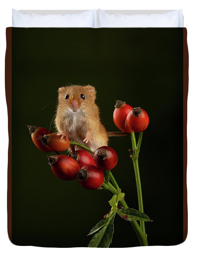 Harvest Duvet Cover featuring the photograph Hm-0498 by Miles Herbert