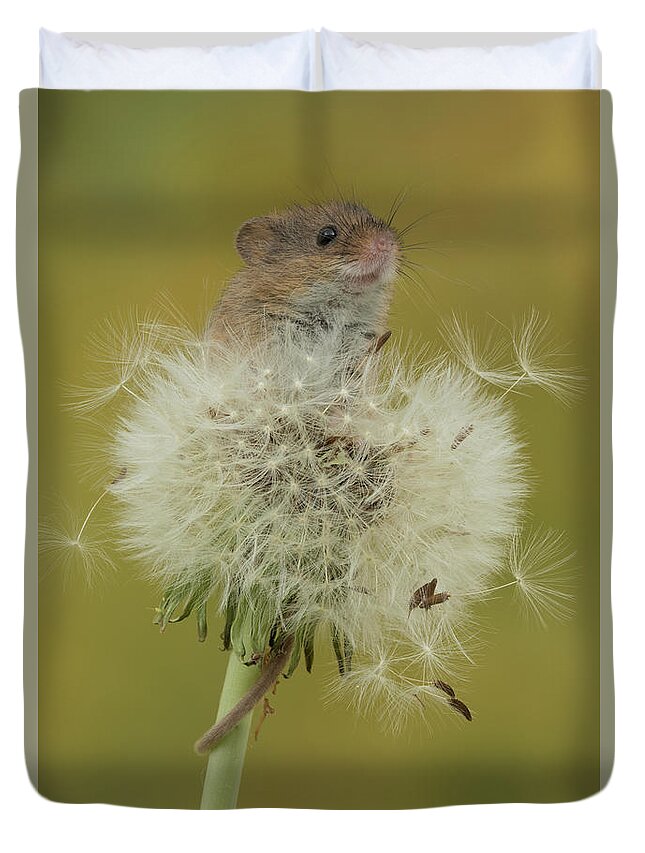 Harvest Duvet Cover featuring the photograph Hm-7447 by Miles Herbert