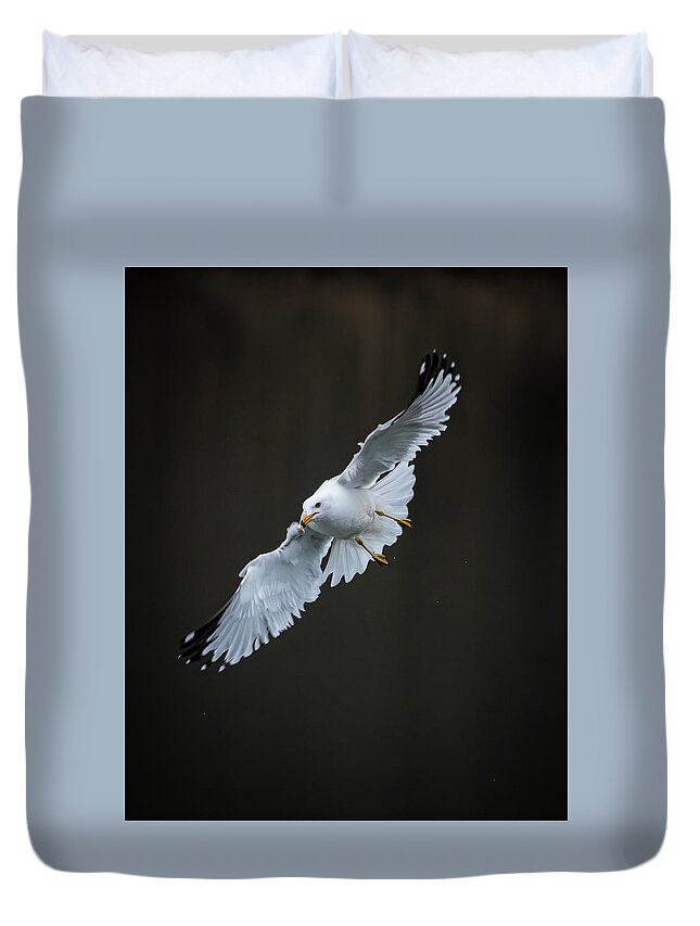 Lake Bloomington Duvet Cover featuring the photograph Holding a Pose by Ray Silva
