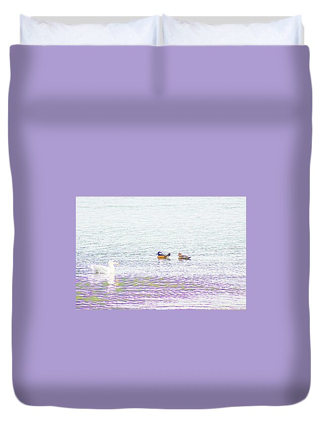 Harbor Duvet Cover featuring the photograph Hooded Merganser by Bill TALICH