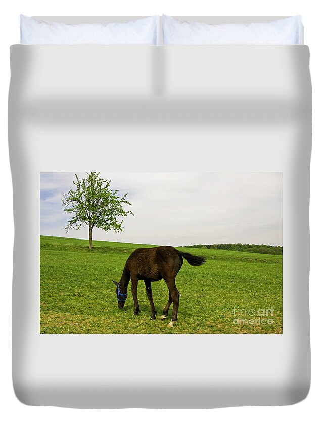 Horse Duvet Cover featuring the photograph Horse and tree by Irina Afonskaya