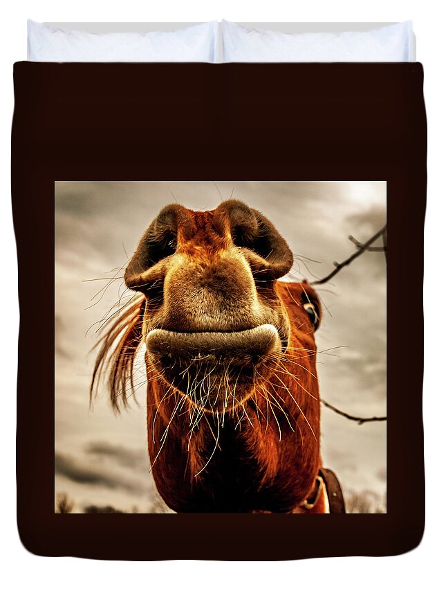 Horses New Jersey Medford Duvet Cover featuring the photograph Horse Head Mr. Ed by Louis Dallara