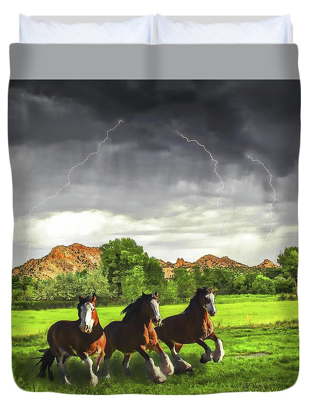 Three Duvet Cover featuring the photograph Horse Lightning by Don Schimmel
