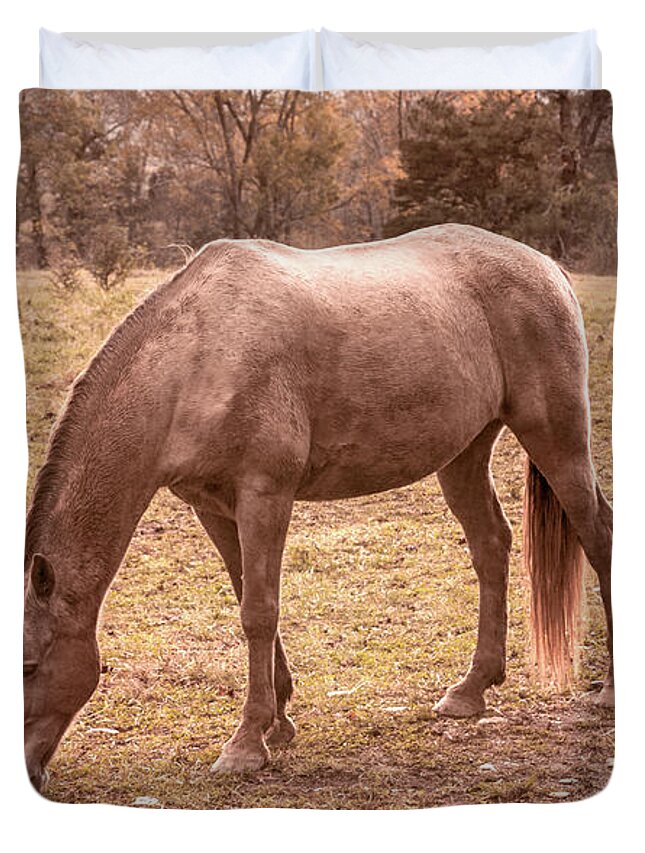 Cades Duvet Cover featuring the photograph Horses Grazing in Cades Cove in Autumn Tones by Debra and Dave Vanderlaan