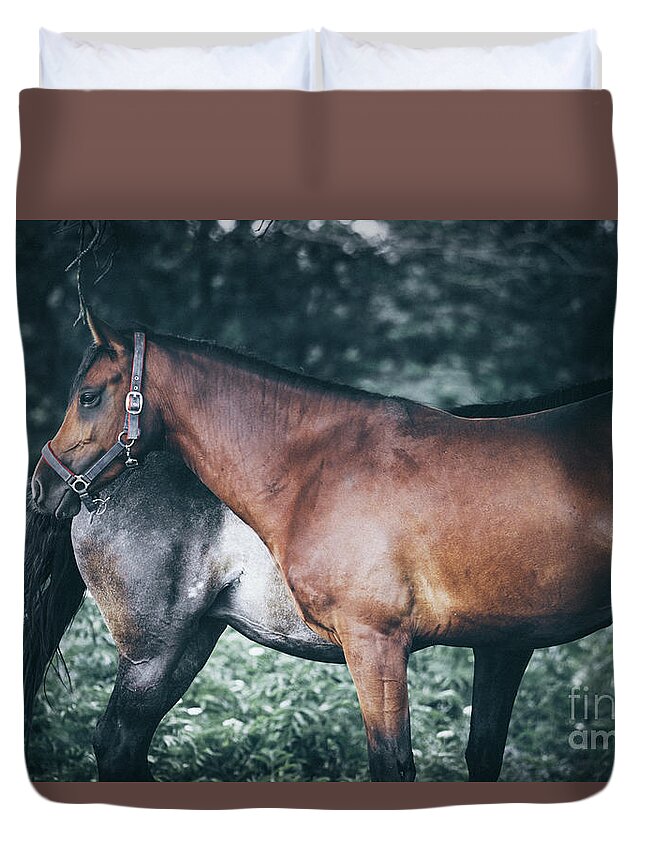 Horse Duvet Cover featuring the photograph Horses rest under a tree by Dimitar Hristov