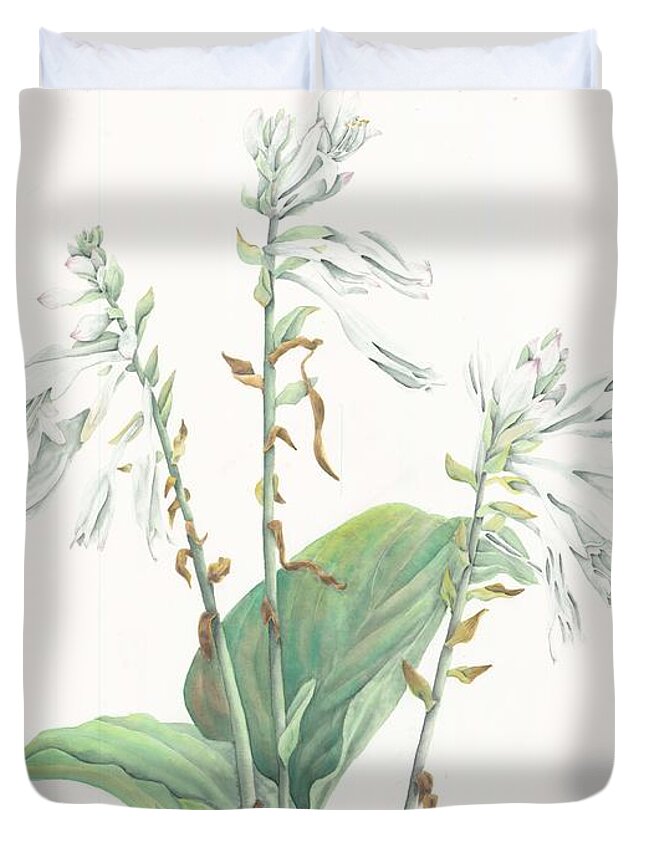 Hosta Duvet Cover featuring the painting Hosta by Albert Massimi