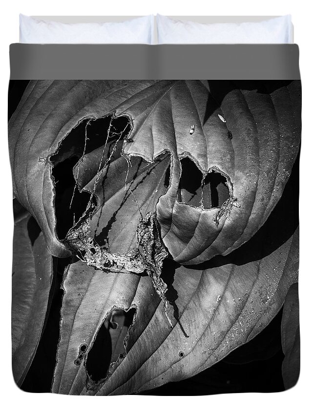 Beauty Duvet Cover featuring the photograph Hosta V BW SQ by David Gordon