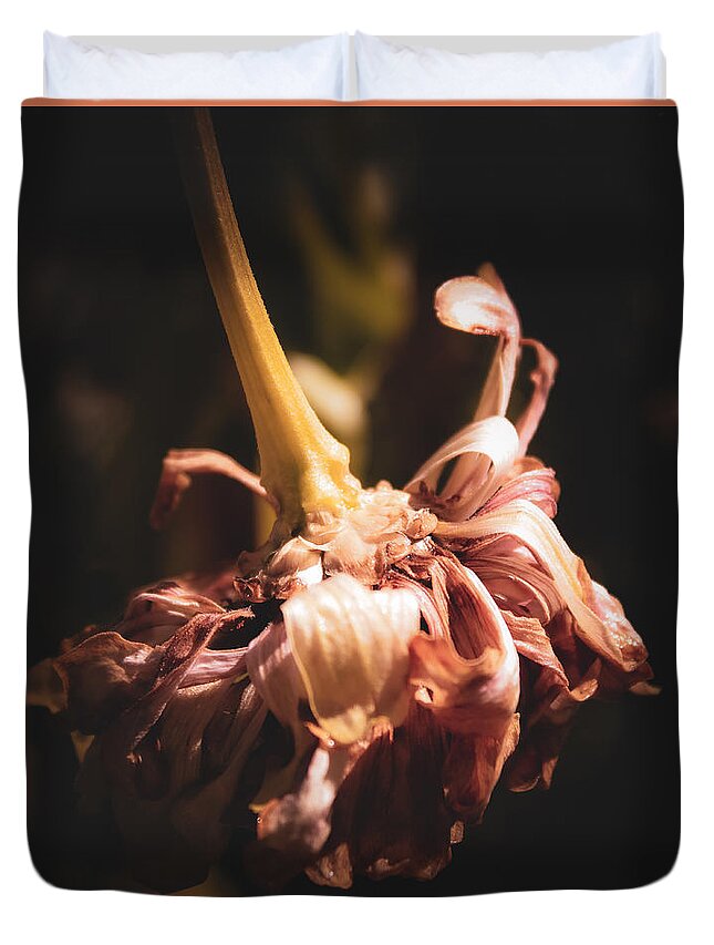 Zinnia Duvet Cover featuring the photograph Hot and Tired by W Craig Photography