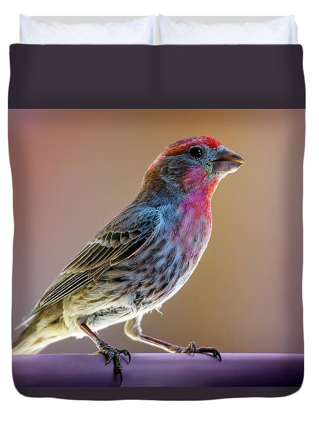 Animal Duvet Cover featuring the photograph House Finch 24685 by Mark Myhaver