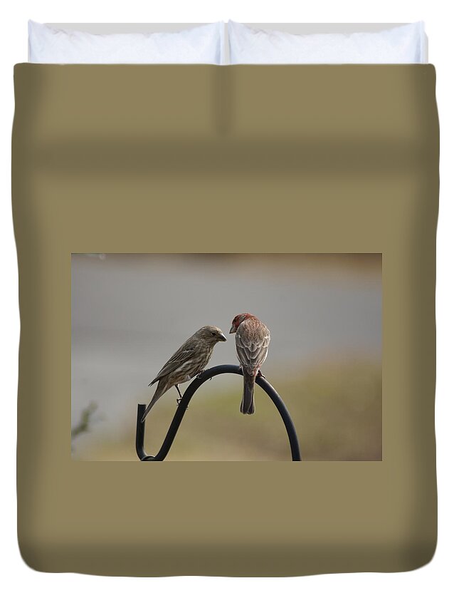  Duvet Cover featuring the photograph House Finch Pair by Heather E Harman