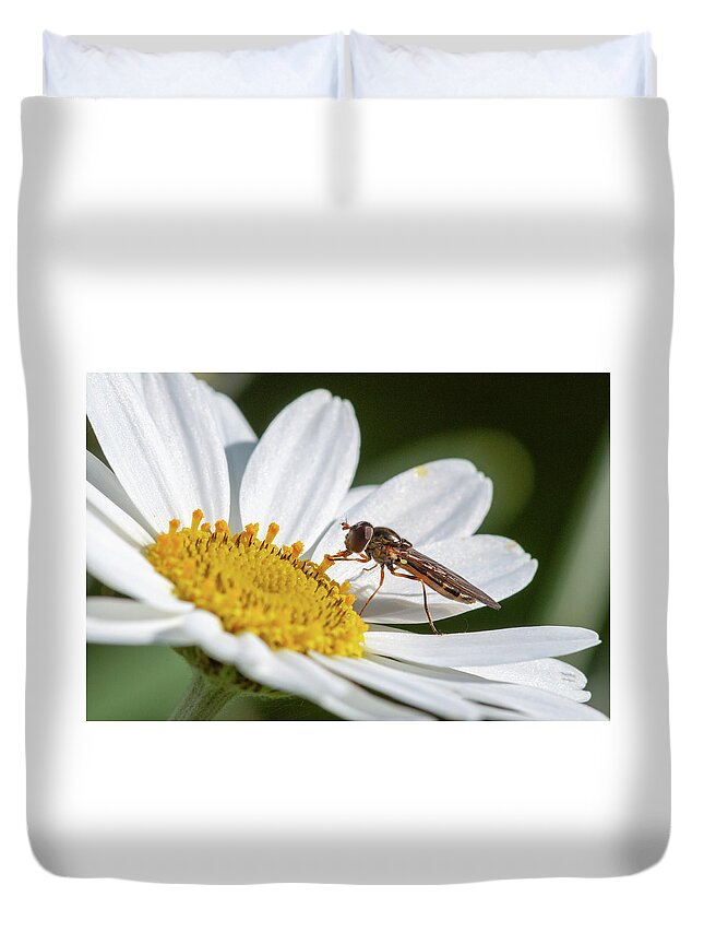 Japanese Anemone Duvet Cover featuring the photograph Hoverfly Feeding by Rob Hemphill
