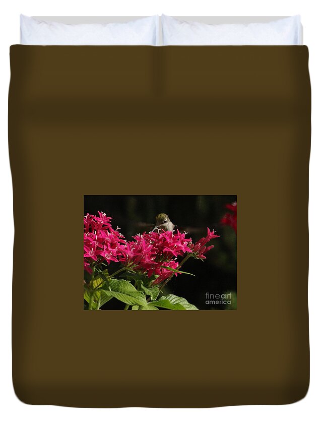5 Star Duvet Cover featuring the photograph Hummers on Deck- 2-03 by Christopher Plummer