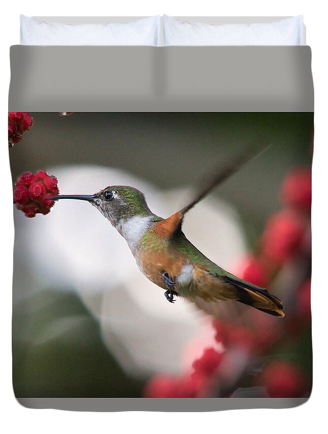 Hummingbird Duvet Cover featuring the photograph Humming Bird taking a sip of nectar by Montez Kerr