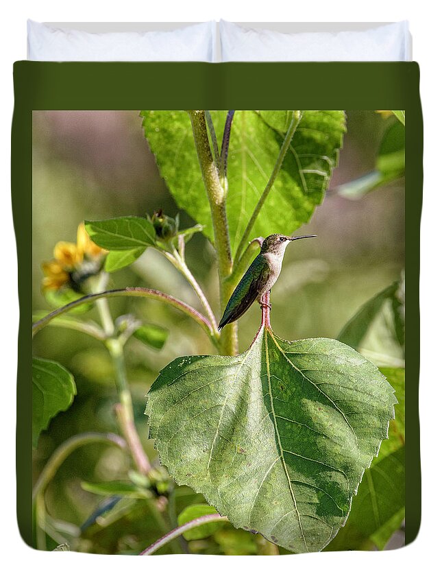 Sunflower Duvet Cover featuring the photograph Hummingbird Chilling by Paul Vitko